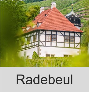 Region erfahren Radebeul