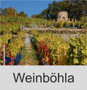 Region erfahren Weinböhla